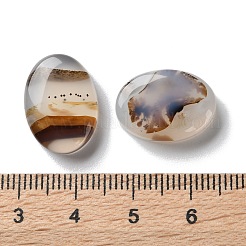 Натуральные дендритные агатовые кабошоны G-B138-01