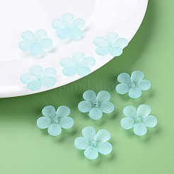 Прозрачные акриловые бусины&nbsp;MACR-S373-116-D07