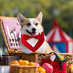 2 шт. 2 стиля полиэстеровый носовой платок для домашних животных AJEW-CP0008-69A