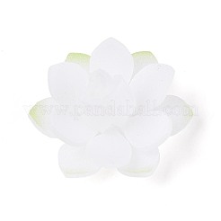 Термоусадочные акриловые колпачки&nbsp;OACR-N155-01