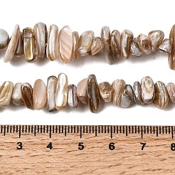 Нити бусин из натуральных пресноводных ракушек&nbsp;SHEL-A006-05