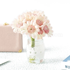 Миниатюрная хризантема в горшке PW-WGBF081-01