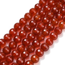 Природного сердолика нитей бисера&nbsp;G-C280-B10-8mm