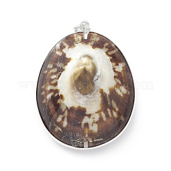 Натуральные морские раковины большие подвески SHEL-F005-05P