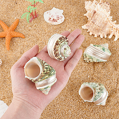 4шт натуральная оболочка FIND-PH0027-49