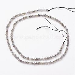 Естественно лабрадорита шарик нити G-P213-38-2mm