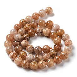 Живой цветок агат бисер нитей&nbsp;G-B044-A01-02