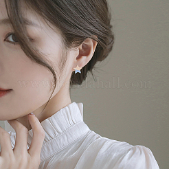 10 пара двухцветных прозрачных сережек-гвоздиков из смолы и дерева DIY-FW0001-09