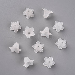 Прозрачные акриловые бусины PLF018-01