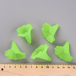 Прозрачные акриловые бусины&nbsp;BSF796-C18