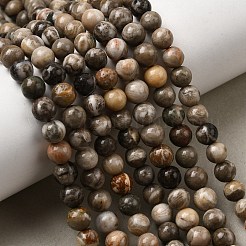 Природные окаменелые коралловые бусы пряди G-G212-6mm-31