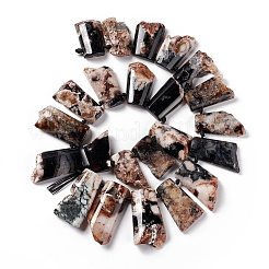 Нити бусин из натурального черного вишневого агата G-F719-07