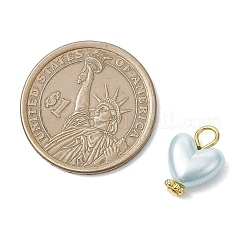 Подвески из искусственного акрила с ракушками и жемчугом PALLOY-JF04518-02