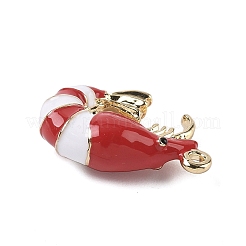 Подвески из эмали и сплава&nbsp;ENAM-B027-01G-01