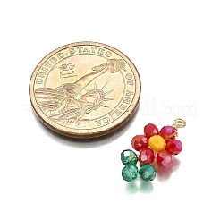 5шт акриловые подвески с УФ-покрытием&nbsp;PALLOY-TA00271