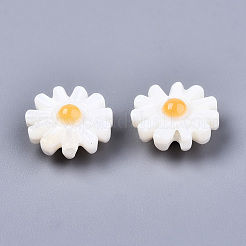 Бусины из натуральных пресноводных ракушек SHEL-S266-14B