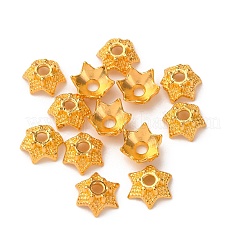 Крышки для бусин тибетского стиля AA188-G-NR