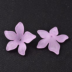 Полупрозрачные акриловые бусины&nbsp;FACR-5335-6