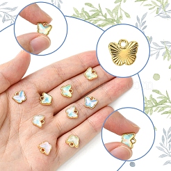 30 шт. подвески из сплава стекла FIND-FS0002-79