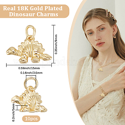 Латунные подвески с покрытием 10шт&nbsp;KK-BBC0017-13