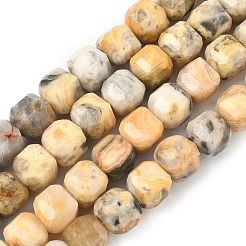 Природные сумасшедший агат бисер нитей&nbsp;G-C267-A13