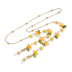 Подвески из акрила и стеклянные цепочки для очков AJEW-TA00041