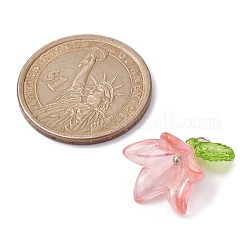 6шт прозрачные акриловые подвески&nbsp;PALLOY-JF02300-02