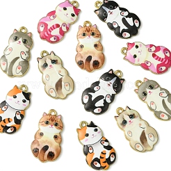 12шт 6 цвета сплава эмалевые подвески&nbsp;FIND-FS0003-02