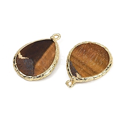 Природных тигровый глаз подвески&nbsp;G-K347-08G-01