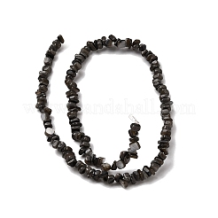 Бусины из натуральных пресноводных ракушек SHEL-B003-01J