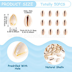 50 шт. подвески из натуральной ракушки каури BSHE-CW0001-02