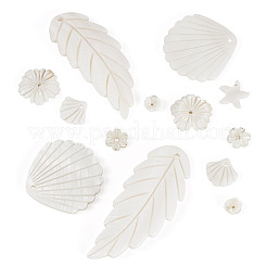 14шт 7 стиля подвески из натуральных пресноводных ракушек SHEL-TA0001-24