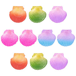 10 шт. большие подвески из натуральной ракушки гребешка&nbsp;SSHEL-TA0001-23