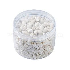 Натуральные бусины из ракушек-трубочек BSHE-KS0001-01