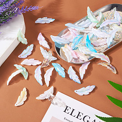 60шт 6 цвета прозрачные акриловые подвески&nbsp;TACR-TA0001-29