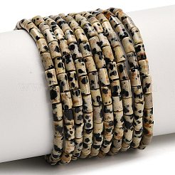 Природных драгоценных камней смешанного бисер нитей G-P600-B-01