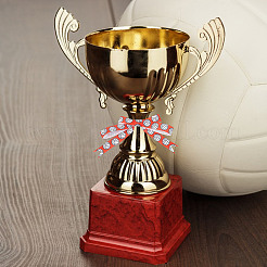 20 ярдовая полиэстеровая волейбольная лента с принтом спортивных мячей и корсажной лентой OCOR-WH0085-75A-02