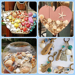 Подвески из раковины SSHEL-TA0001-03