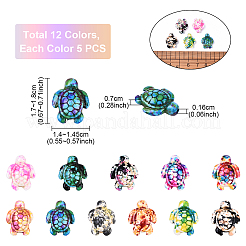 60шт 12 цвета синтетические бирюзовые бусины&nbsp;G-YW0002-36