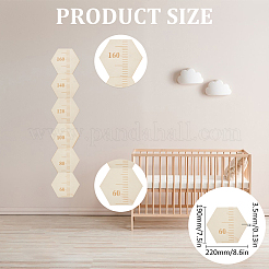 Шестигранные деревянные линейки для измерения диаграммы роста&nbsp;TOOL-WH0136-124A