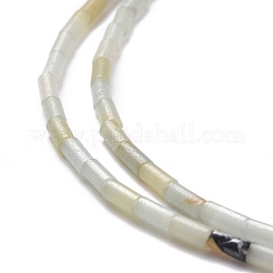 Натуральный цветок амазонитовые бусины пряди G-M389-16