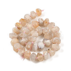 Натуральные вишневые агатовые бусины G-P535-I02-01