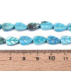 Нити резных бусин из натуральных пресноводных ракушек&nbsp;SHEL-N038-25B