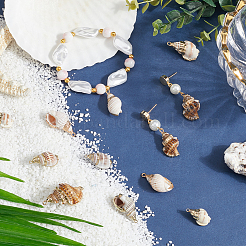 24 шт. 6 стиля подвески в форме ракушек с гальваническим покрытием&nbsp;SHEL-SC0001-59