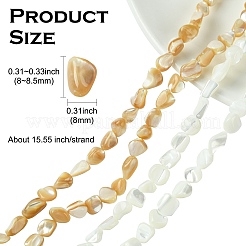 2 нитка 2 цвета натуральные ракушечные бусины нитки SHEL-CJ0001-35