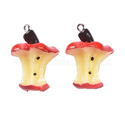 Подвески из смолы в стиле 30 шт.&nbsp;RESI-LS0001-02P