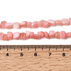 Нити бусин из натуральных пресноводных ракушек&nbsp;SHEL-A006-07