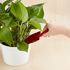 Железные лопаты TOOL-PH0017-27