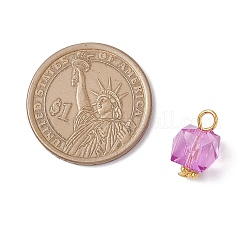 Прозрачные акриловые подвески&nbsp;PALLOY-JF04258-01