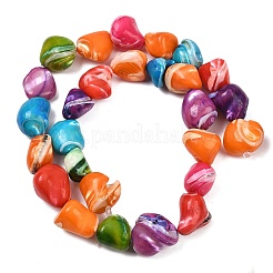 Нити бусин из натуральных трохоидных/трохус ракушек SHEL-B005-06